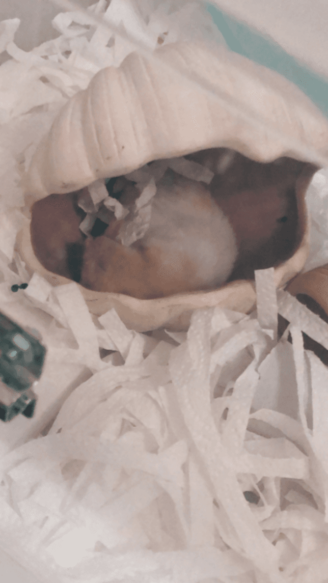 "温馨舒适三居室出租,D04区,月租欧元"