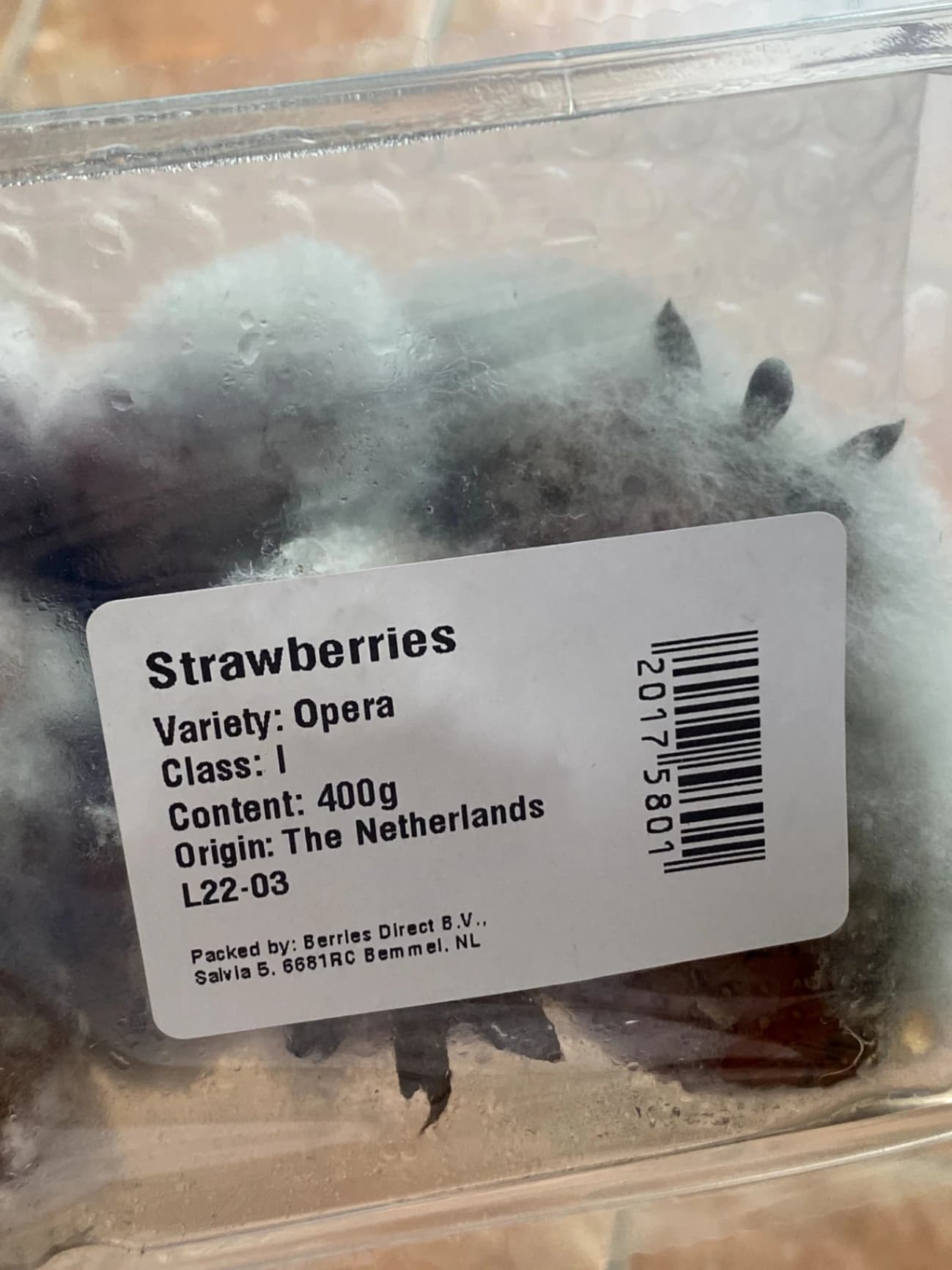 "温馨舒适三居室出租,D04区,月租800欧元"