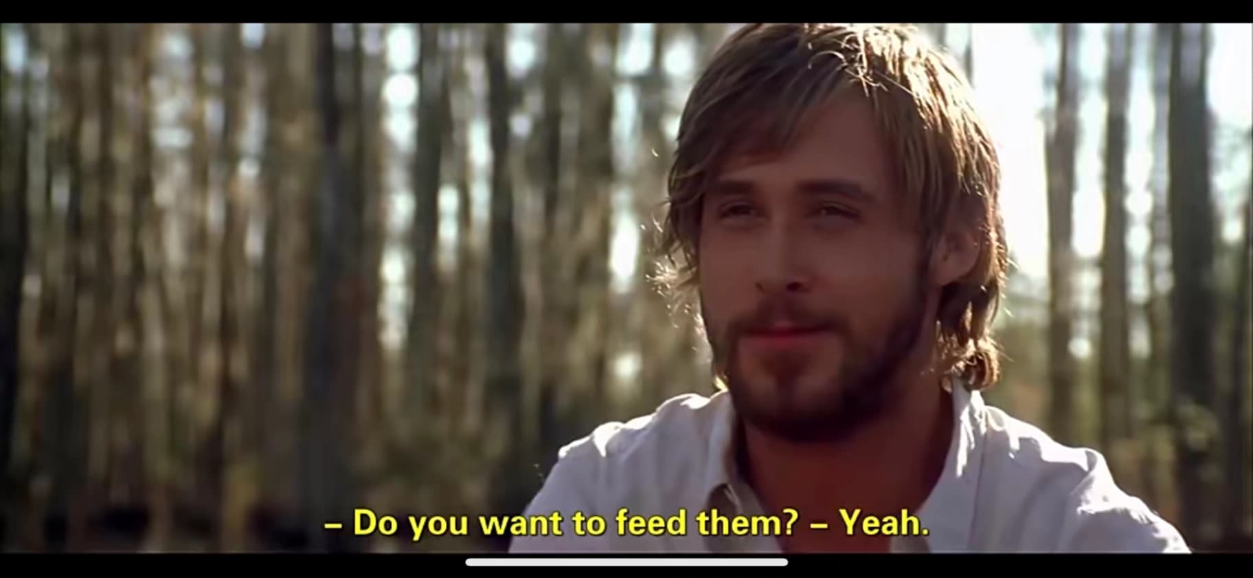 "温馨舒适三居室出租,D04区,月租999欧元"