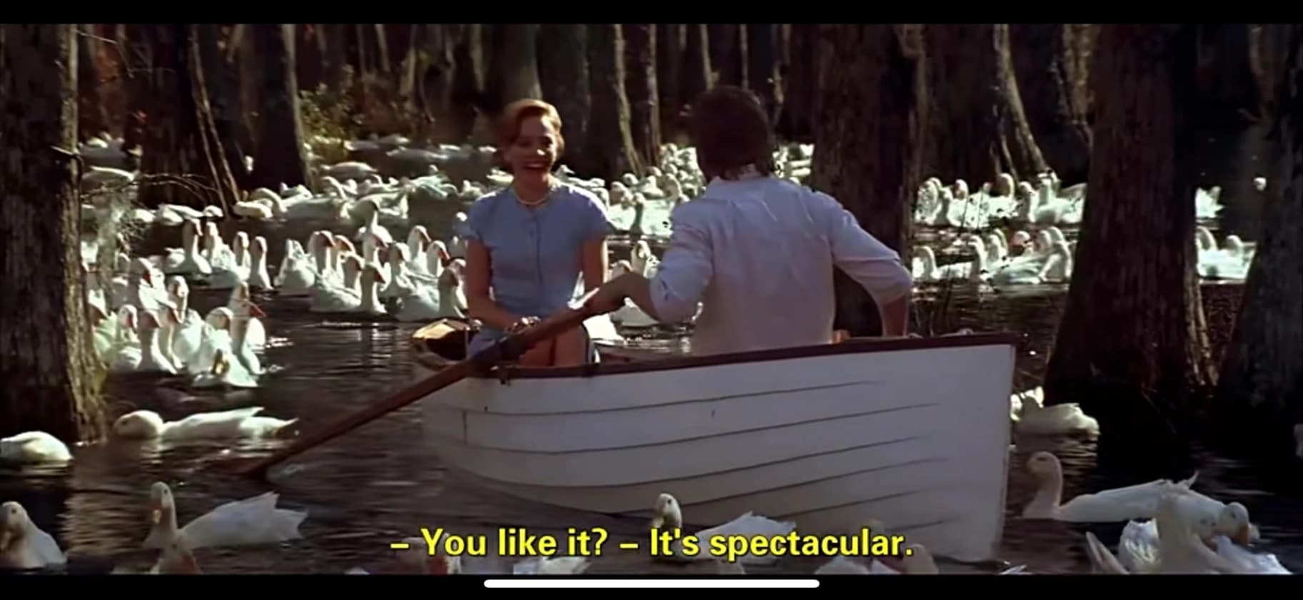 "温馨舒适三居室出租,D04区,月租欧元"